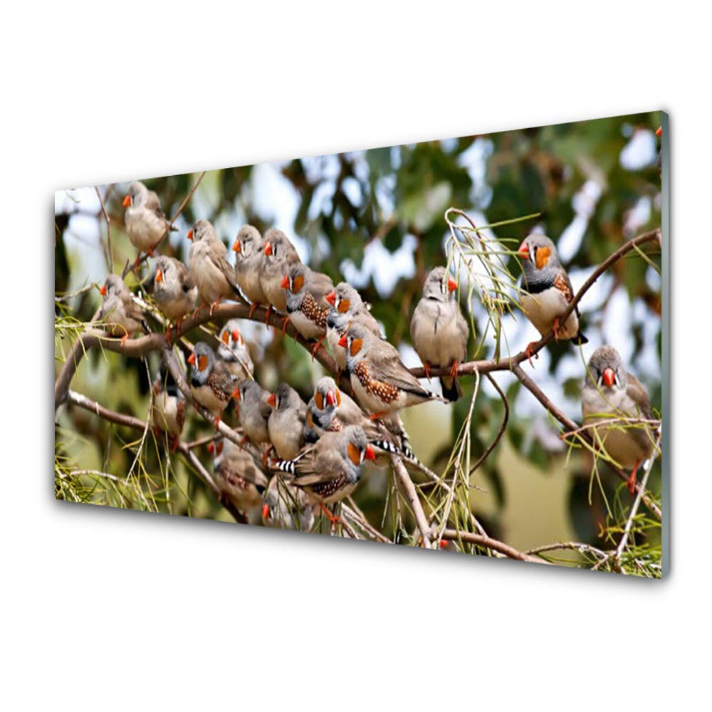 Plastique imprimés tableau décoration déco mural moderne oiseaux 125x50