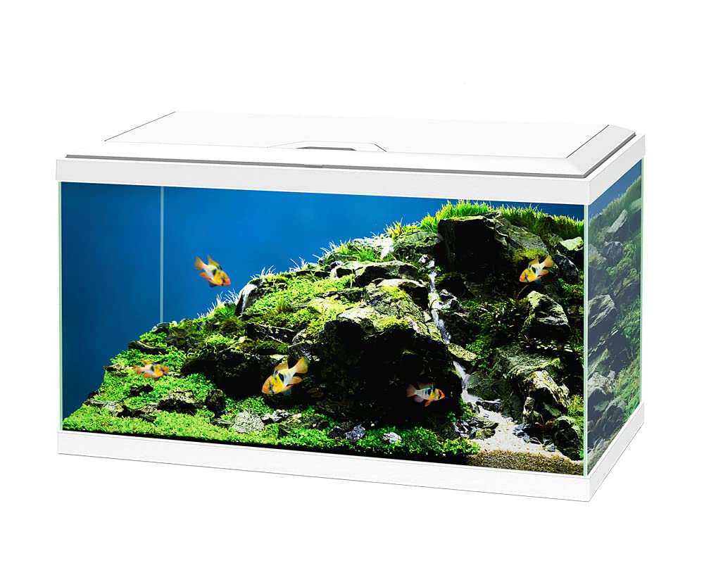 Ciano Acuario Aqua 60 Plus Led Blanco 60X30X37,2Cm 65L.