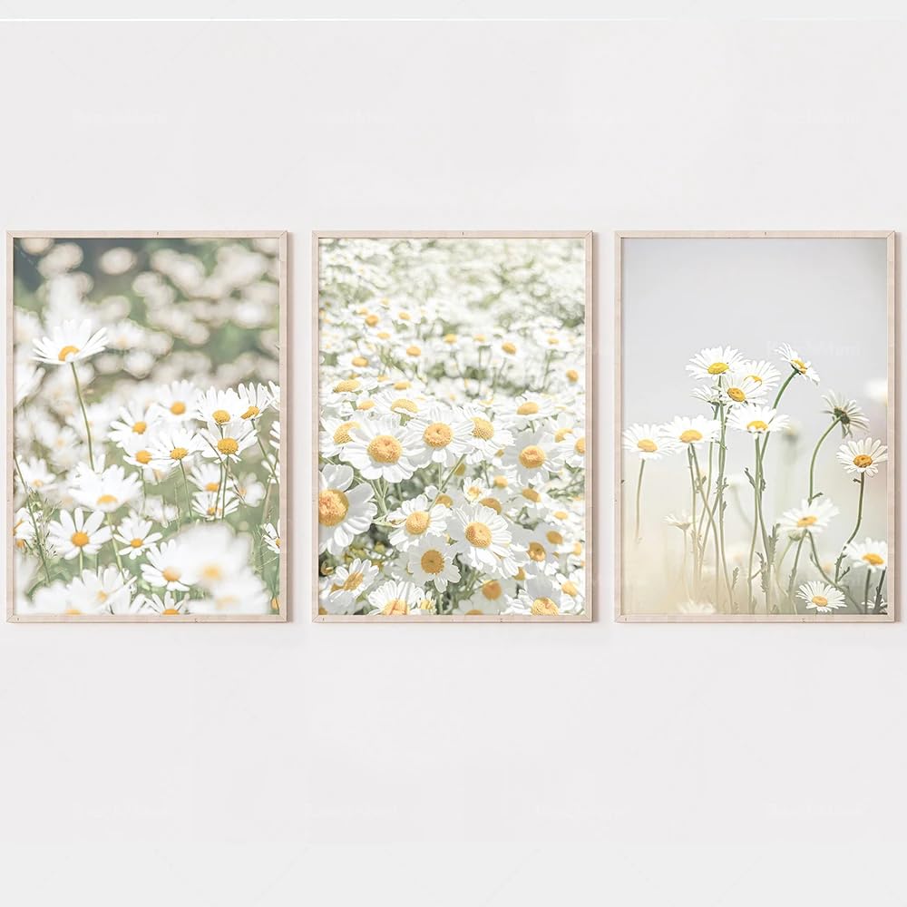 SOBMQ Pictures-White Daisy Photography Wall Canvas Painting Abstract Poster Print Art Picture For Living Room Bedroom Home Decoration-40 * 60cm-3PCS (No Frame)