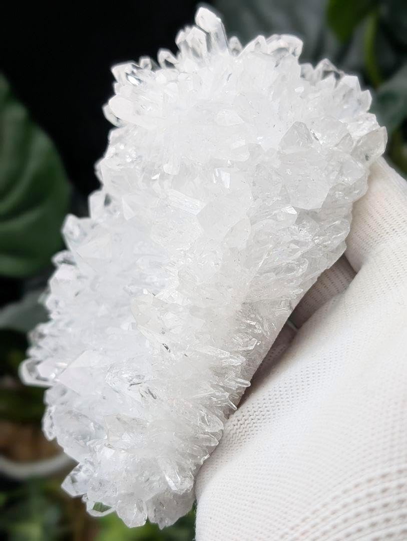 677g菊花水晶クラスター 淨化 天然 KK01 W