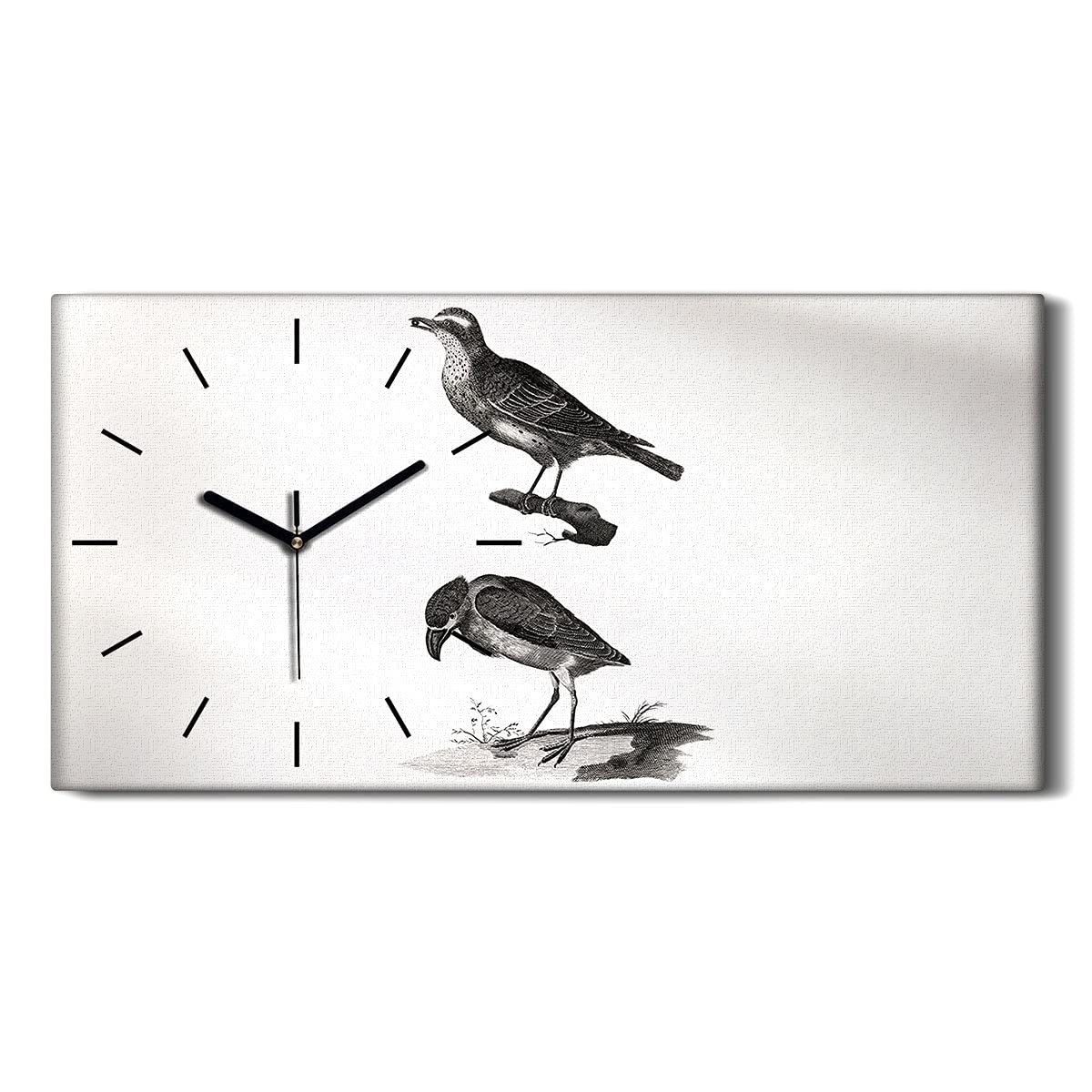 Horloge sur toile animaux salon chambre tableau moderne silencieux oiseaux 60x30cm