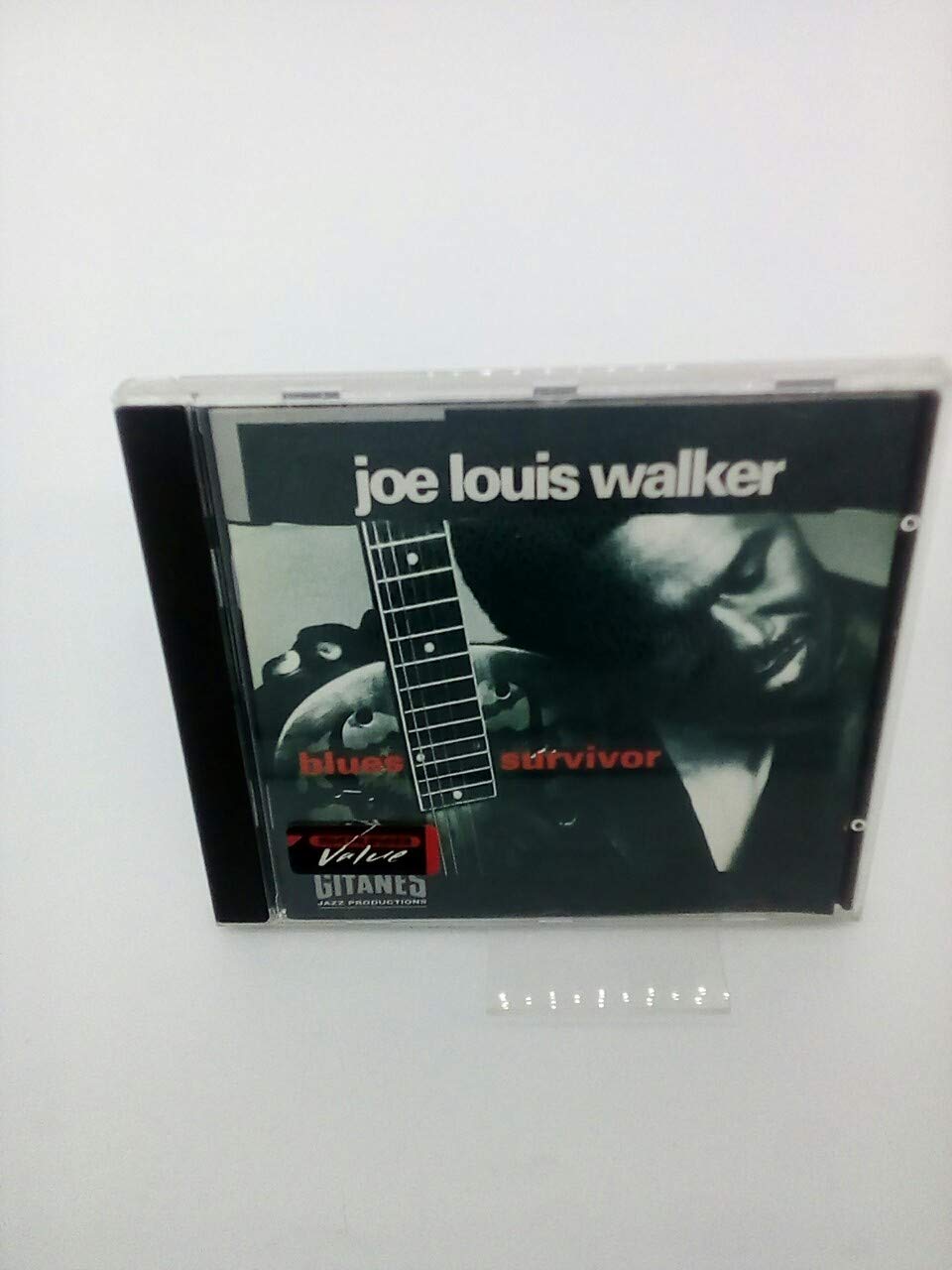 Blues Survivor