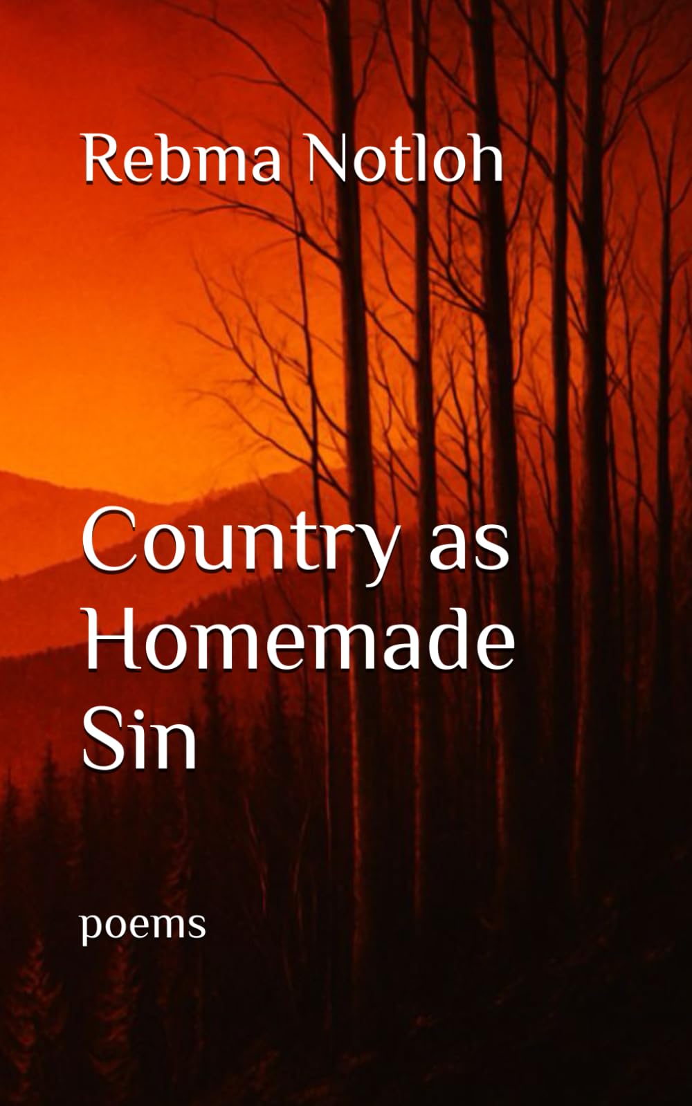 Country as Homemade Sin: poems
