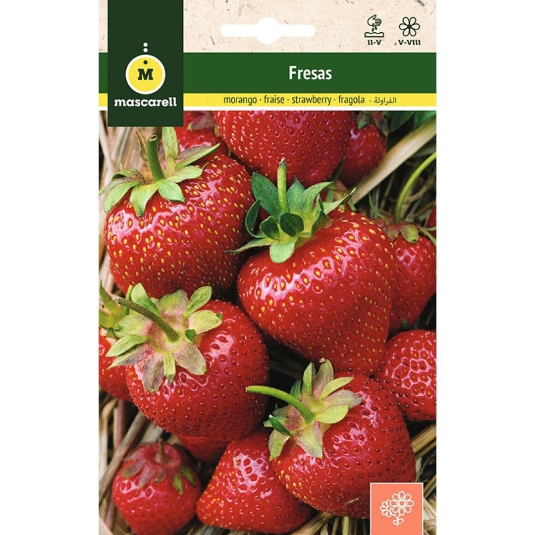 Mascarell Semillas, FRESAS, Semillas Flores Exterior para Decoración, 0,2 Gramos