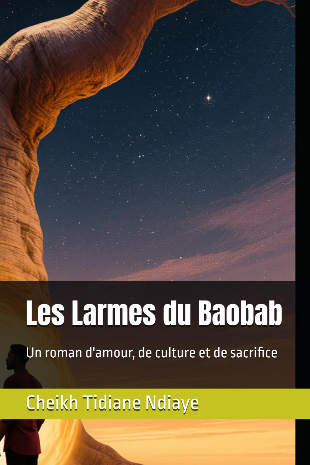 Les Larmes du Baobab: Un roman d'amour, de culture et de sacrifice
