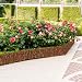 UrFence 300x20 Weide Beeteinfassung Holz - Flexible Rasenkante - Mini Gartenzaun zum Stecken - Rollborder Beetumrandung - Baumumrandung Rund - Beetzaun Steckzaun Beeteinfassung Staketenzaun Rollzaun