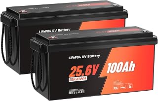 2 Packs 12V 100Ah Mini RV (Group 24) Rechargeable LiFePO4 Battery with High Cycles, Higher Energy Density, Perfect for Trolling Motors, Boat, Marine, Solar etc. (25.6V100AH(2PACKS))
