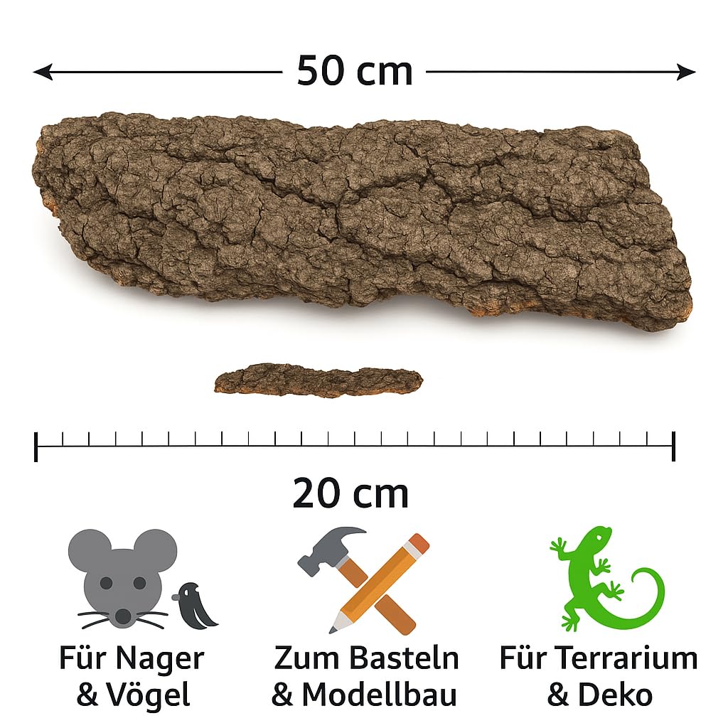 Lot de Liège, Liège CA, 50 x 20 cm, plaque de liège terrari endeko