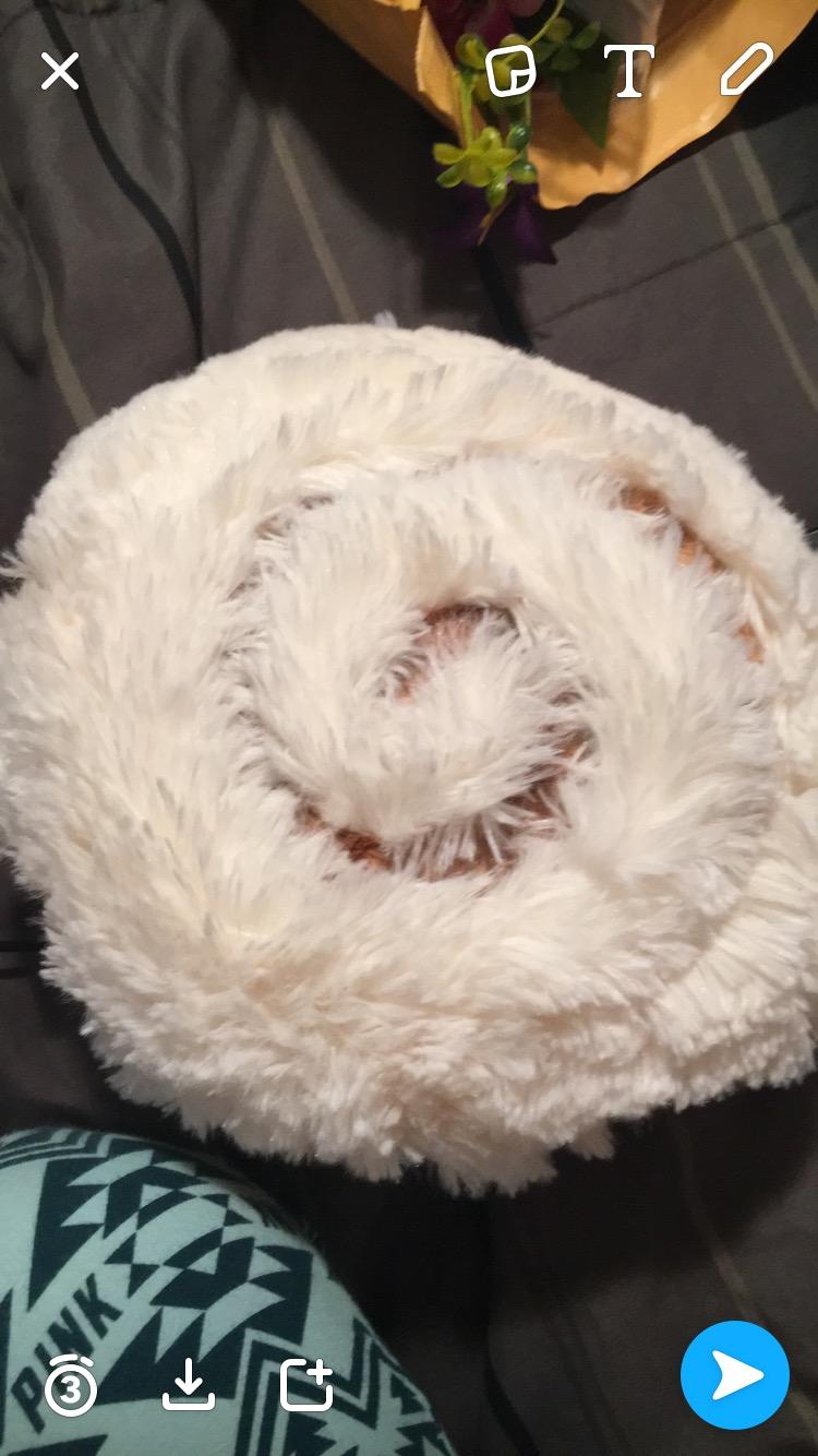 Squishable / Mini Cinnamon Bun Plush 7