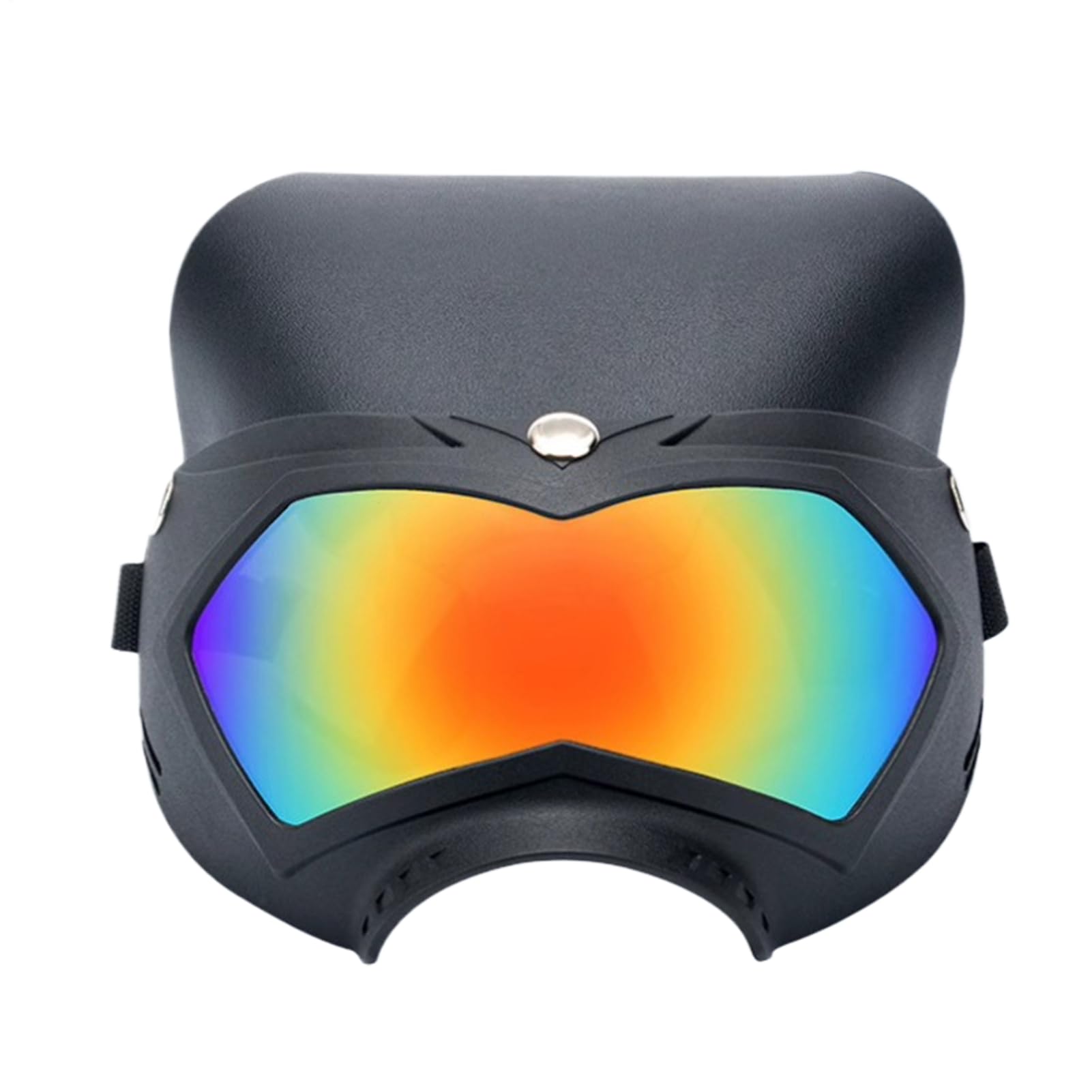 Lunettes de soleil pour chien Teksome idéales pour la randonnée en montagne