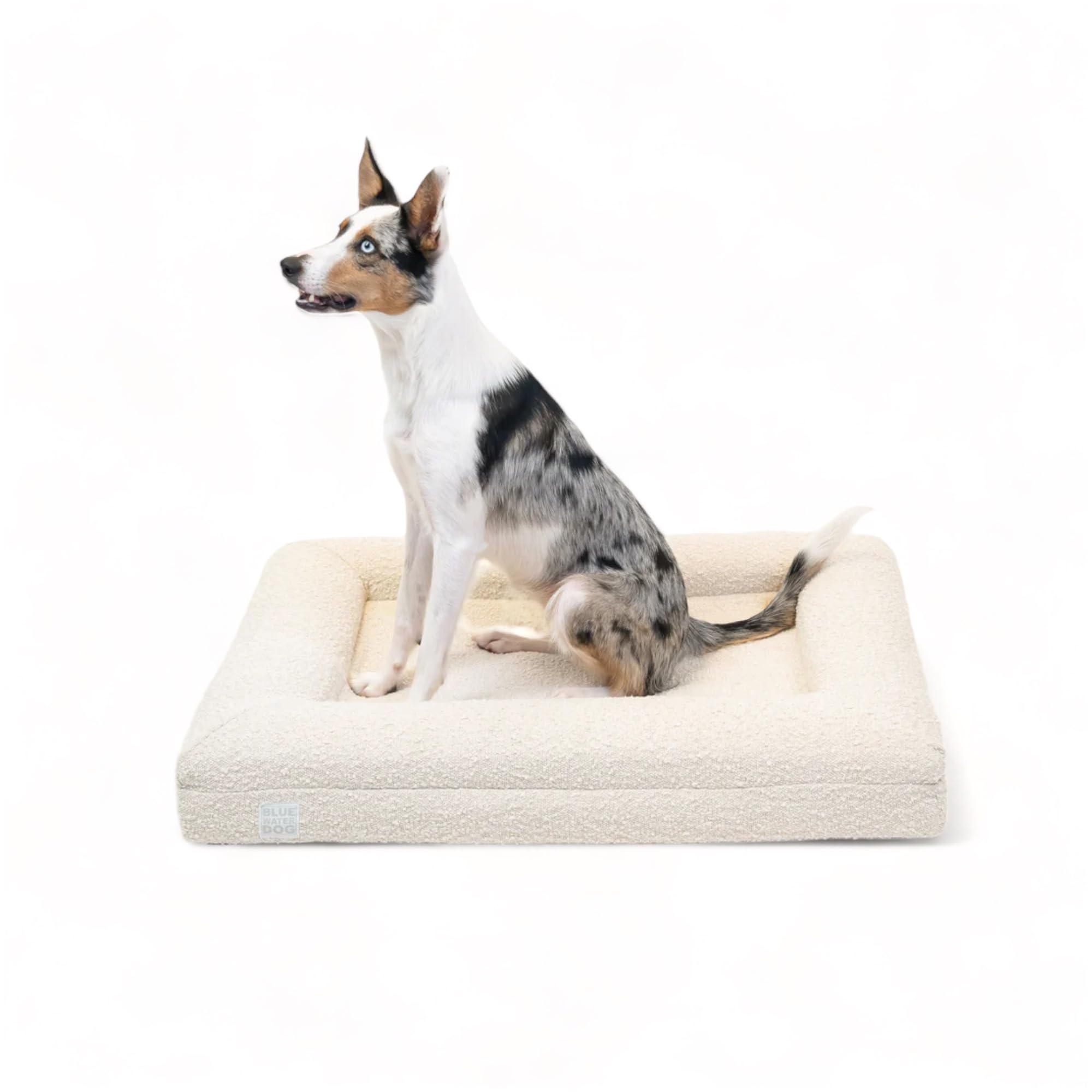 Luxury Boucle Orthopedic Memory Foam Dog Bed with Waterproof Liner and Machine Washable Cover with YKK Zippers (Medium 37" L x 30" W x 6" Th, Cloud)