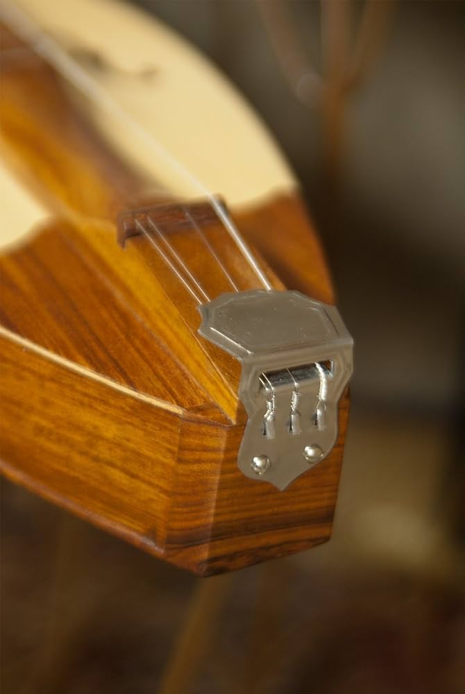 ダルシマー 4弦 木製 ブラウン ケース付き Amazon.co.jp: Mountain Dulcimer KIT All WOOD Build-it