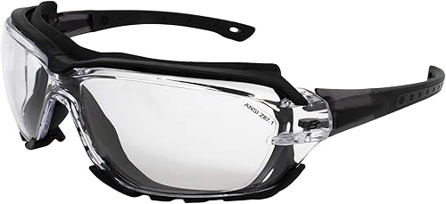 Birdz Gafas de sol acolchadas de seguridad para motocicleta, montura negra, con lente transparente