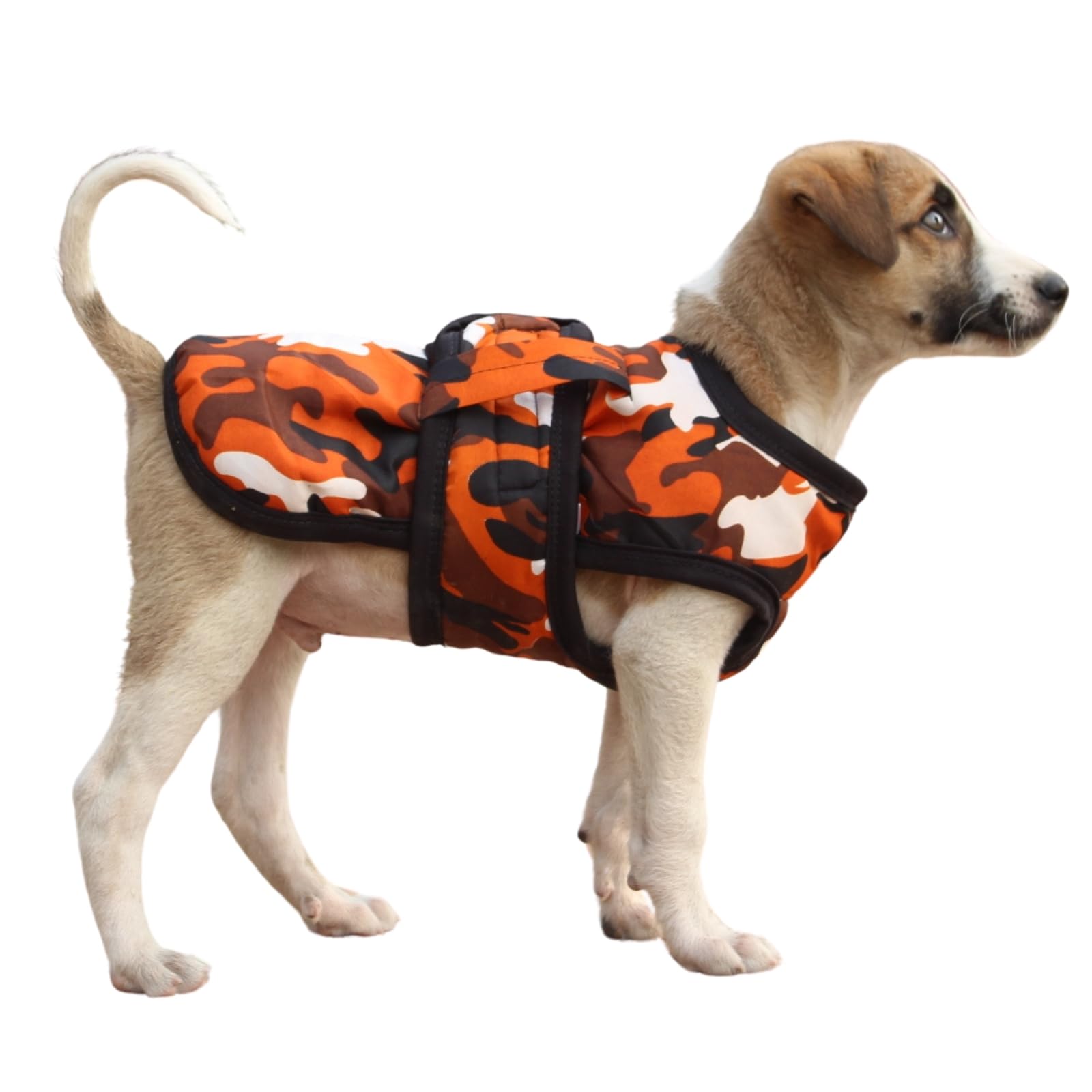 Lulala Dog Winter Coat, Warm Dog Jacket Fleece Dog Cold Weather Coat Warm Doggie Clothes Waterproof Dog Vest for Small Medium Large Dogs (Orange, 14Inch) (B0CR64FPB2) Amazon Price History, Amazon Price Tracker