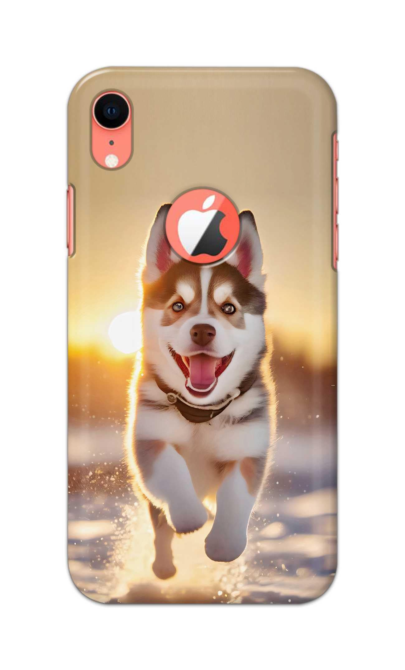 PRINTFIDAA® Printed Hard Back Cover for Apple iPhone XR Logo View Back Cover (Cute Dog) -190724(DZ)