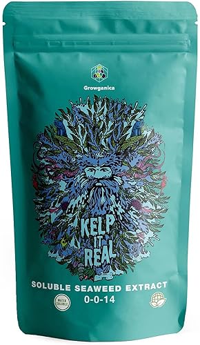 Incredible Bulk Kelp it Real, extracto de algas solubles de alto grado 0-0-14 Fertilizante vegano certificado para jardĂn (1 libra) Incredible Bulk Kelp it Real, extracto de algas solubles de alto grado 0-0-14 Fertilizante vegano certificado para jardĂn (1 libra)