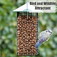 Vista 5 de Old Potters Cacahuetes sin cáscara de vida silvestre, 5 libras para pájaros, ardillas y vida silvestre. Cacahuetes crudos sin OMG cultivados en EE.