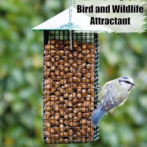 Miniatura 5 de Old Potters Cacahuetes sin cáscara de vida silvestre, 5 libras para pájaros, ardillas y vida silvestre. Cacahuetes crudos sin OMG cultivados en EE.