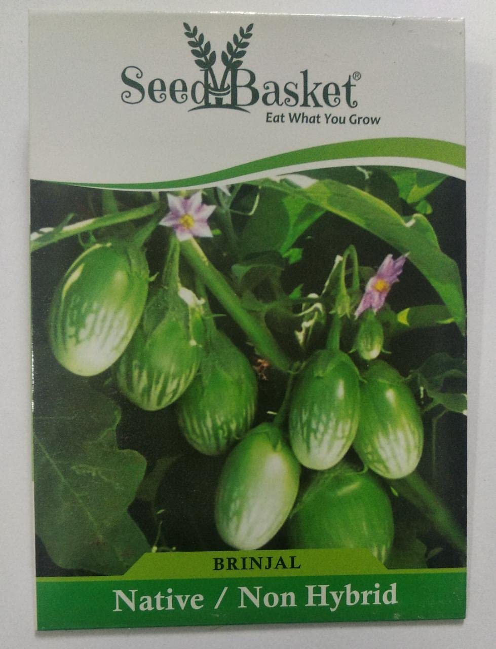 Seedbasket Native/Non-GMO Pack of 3 Brinjals Seeds (Green, Black Round, Purple long) for Home and terrace Gardening and farming- 2
