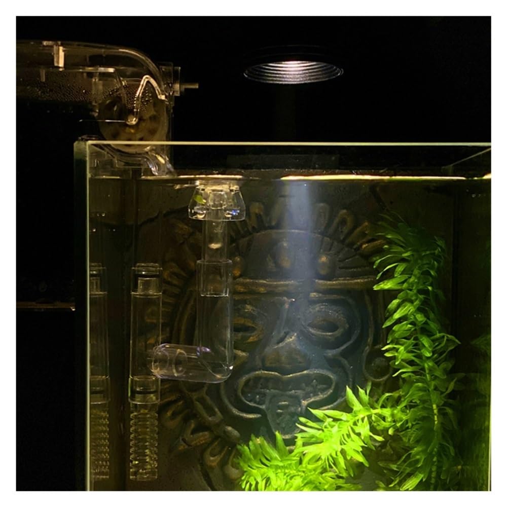 Aquarium Ultraweißes Glas-Aquarium for den Schreibtisch im Wohnzimmer oder Büro – Kampffischbecken