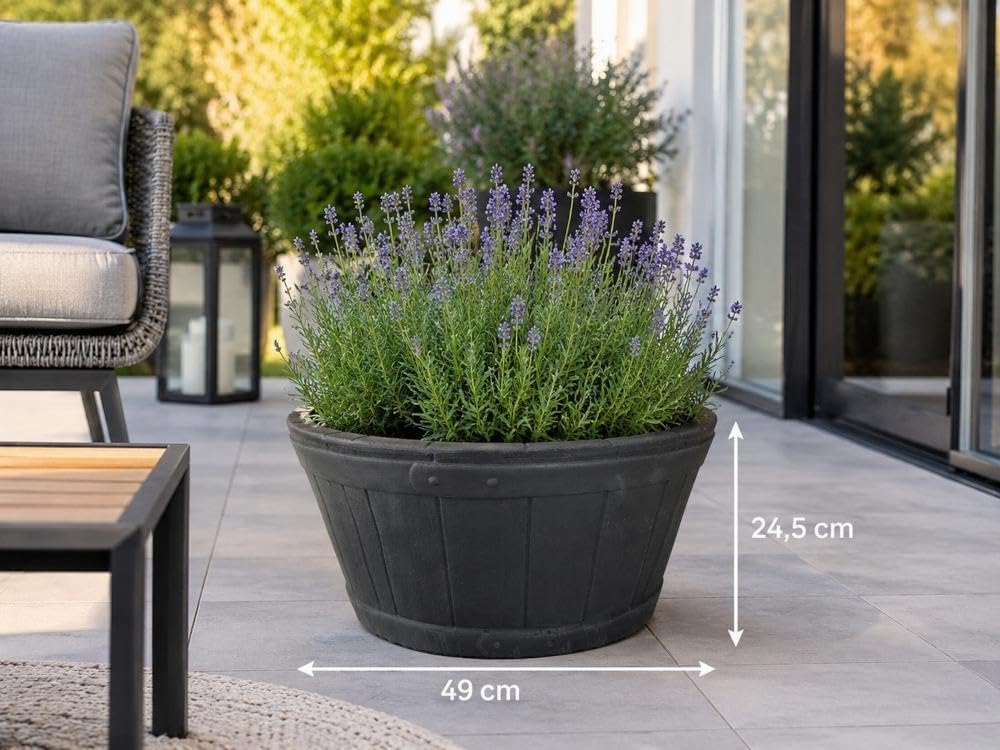 Baril en Plastique Sankey de Strata GN653 49 centimètres, Couleur chêne Naturel
