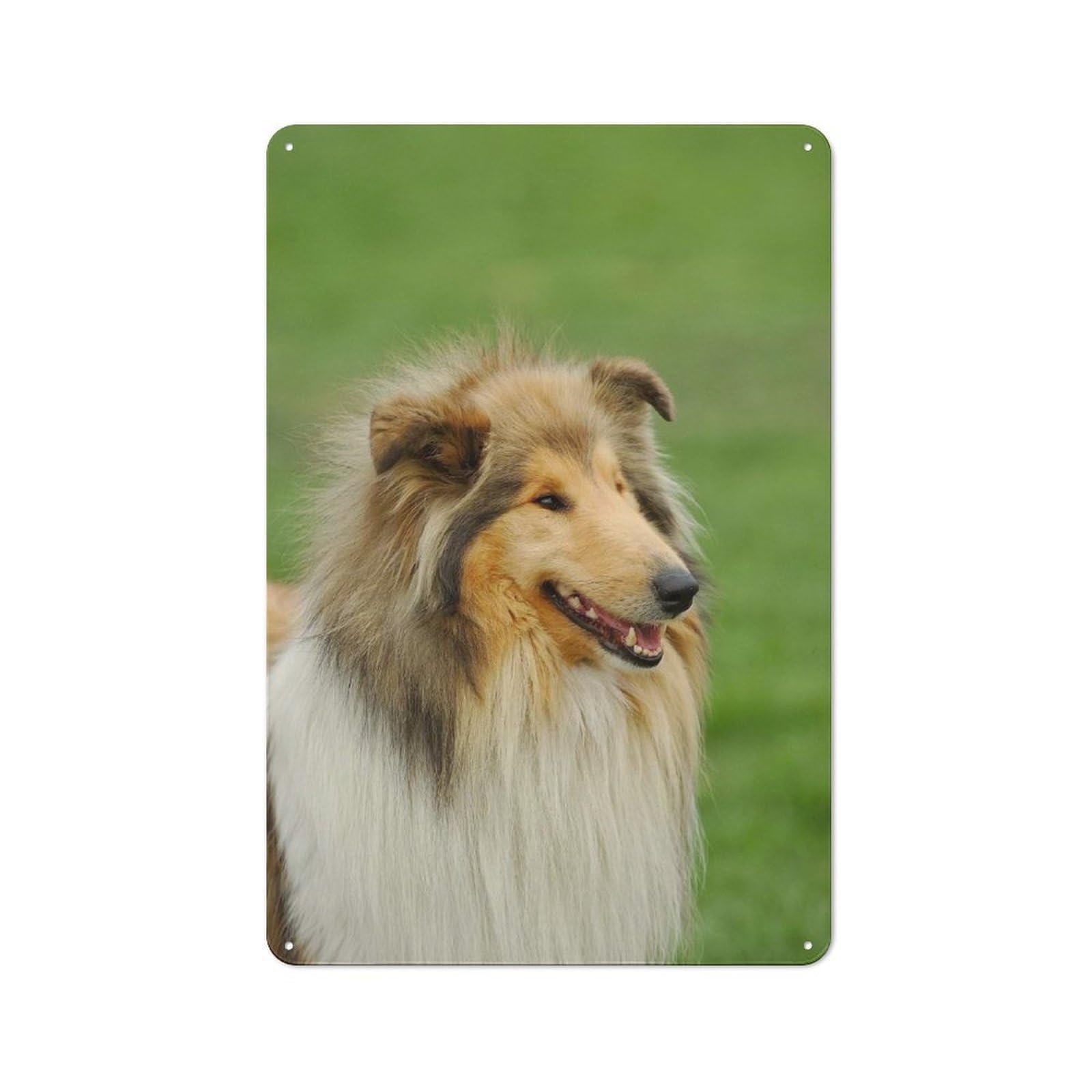 Rough Collie Understated Metal Wall Decor 30x20cm, Office Metal Sign for Office, Study, Studio Or Hallway