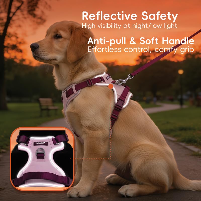 Image of Dog Harness and Leash Set with Collar, No Pull Reflective Pet Vest Harness with Control Handle for Medium Large Dogs Walking and Training