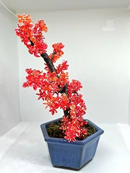 ビーズフラワー　紅葉 Amazon.co.jp: 2 ビーズフラワー ミニ盆栽 もみじ 紅葉 赤