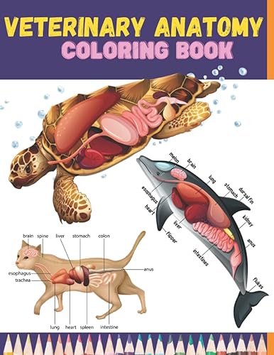 Veterinary Anatomy Coloring Book: Animal Anatomy Coloring, Incredibly Detailed Self-Test Animals Physiology Color Workbook for Studying &amp; Relaxation, Perfect Gift for Vet Students &amp; Animal Lovers