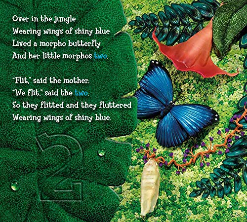 Over in the Jungle: A Rainforest Rhyme - Image 5