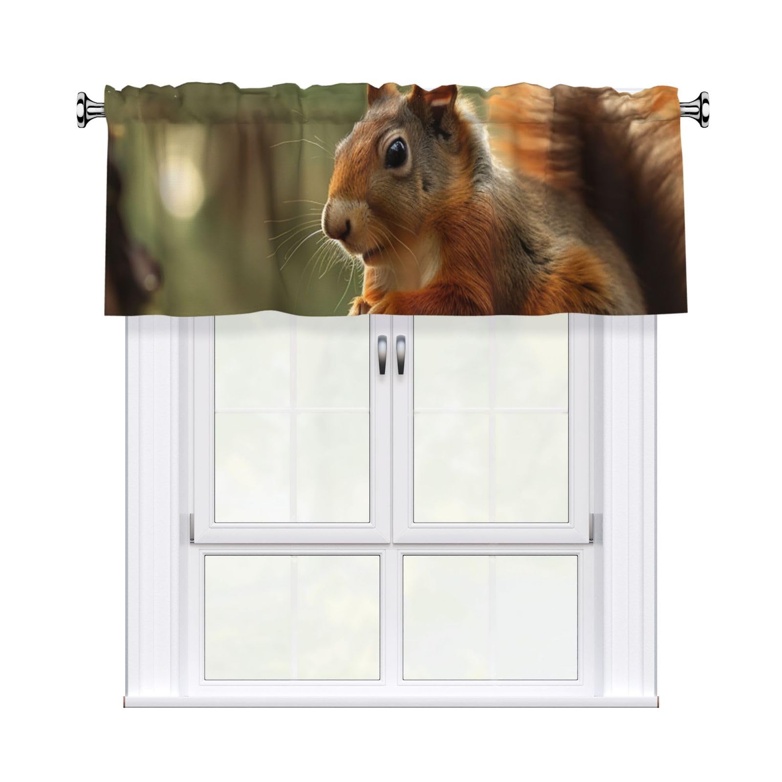 Wildlife Forest Squirrel Valance Curtain 54 X 18 Inch,Blackout Kitchen Valance Window Treatments Rod Pocket Drapes Modern Art Short Curtains for Kitchen Windows Bathroom Bedroom