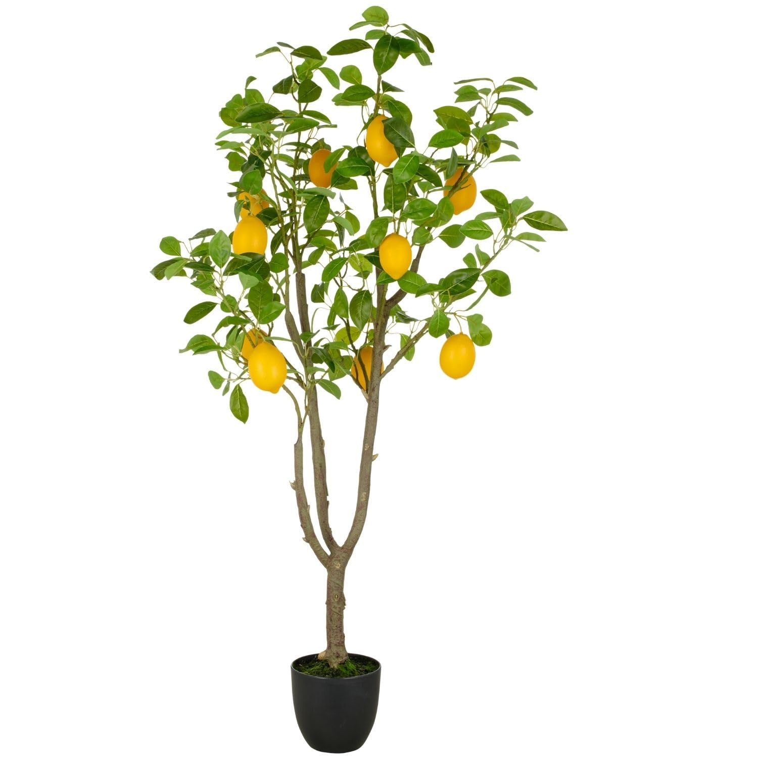 künstlicher Zitronenbaum 145cm I Künstlicher Zitronenbaum mit 10 Zitronen im Topf 18x16,5cm I mediterraner Kunstbaum mit naturgetreuen Blättern & Zitronen I hochwertige Kunstpflanzen