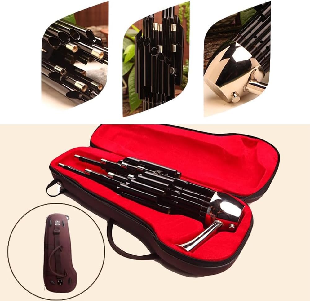 Sheng, A Traditional Chinese Wind Instrument, Is Suitable for Beginners in The Key of D,14-Spring,for Weddings/Festivals,A