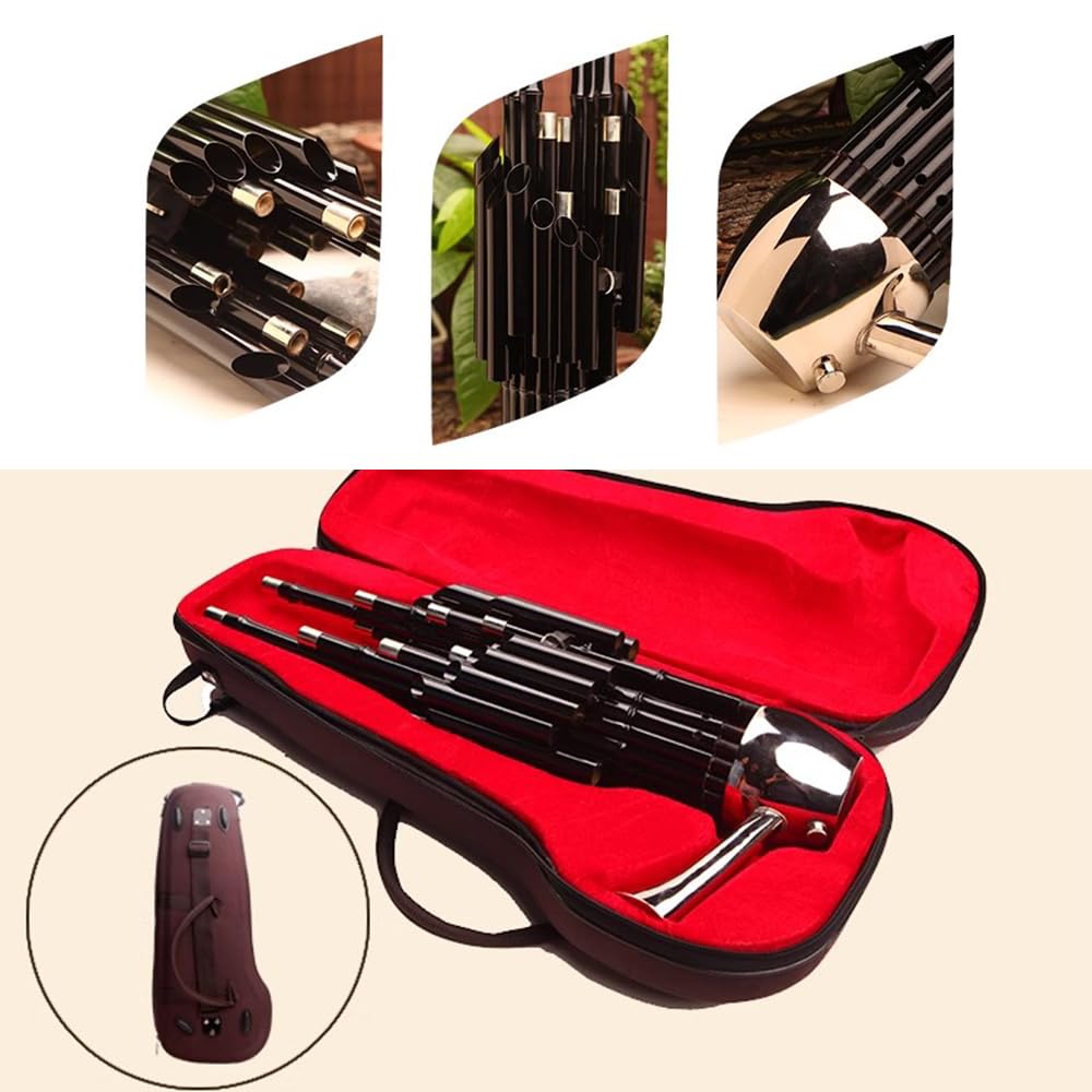 Sheng, Ein Traditionelles Chinesisches Blasinstrument, Eignet Sich Für Anfänger in Der Tonart D, 14 Rohrblätter, Für Hochzeiten/Festivals,B