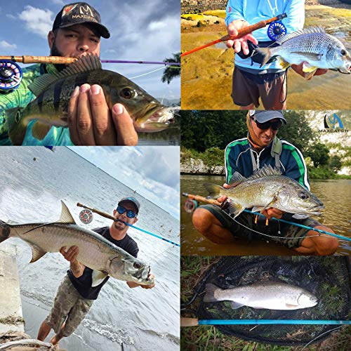 Maxcatch Fiberglass Fly Fishing Rod: 3Wt/ 5Wt/ 6Wt In Blue,Orange, Or Transparent (Bluewave Saltwater, 8'0'' 8Wt 4Sec) #TOP5