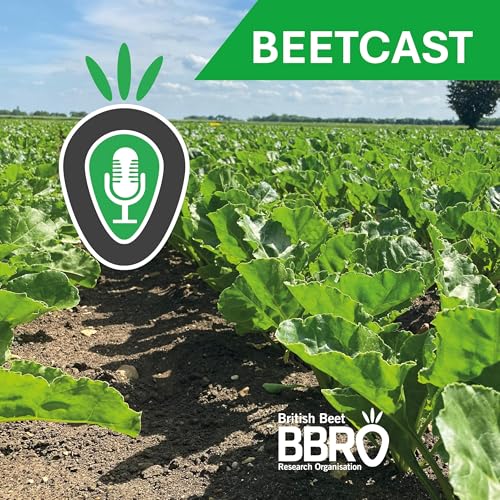 BBRO BeetCast Podcast Por Francesca Broom arte de portada
