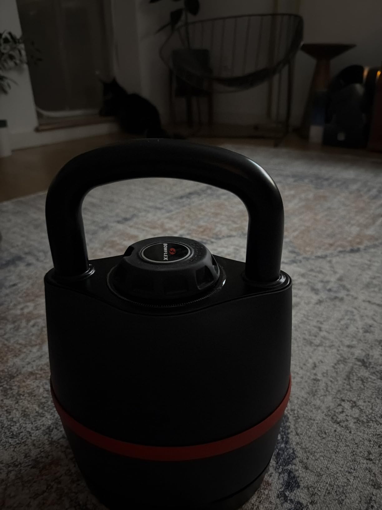 BowFlex SelectTech 840 Adjustable Kettlebell customer photo