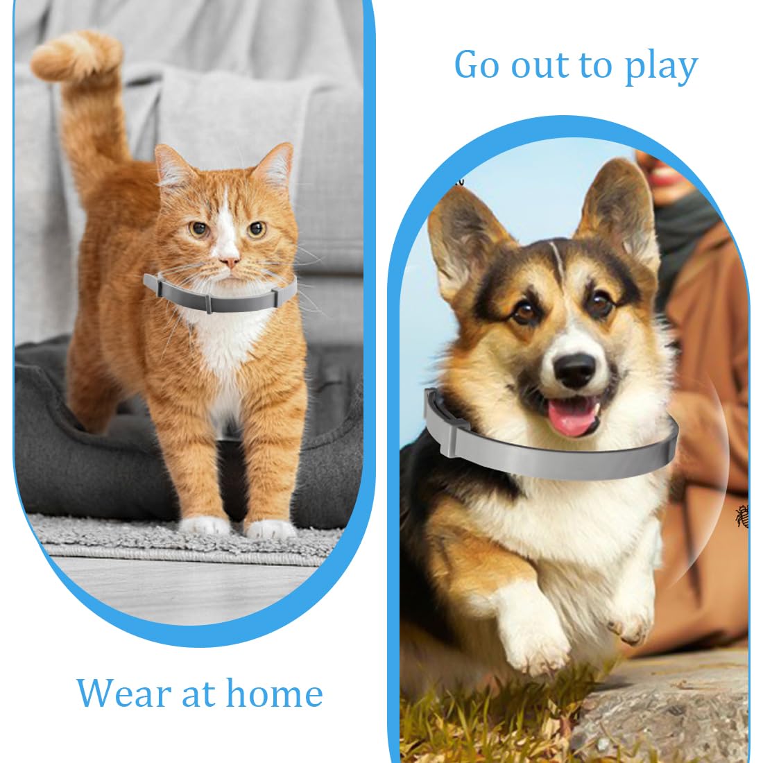 Collier Anti Puces pour chat, 8 Mois De Protection Efficace, Collier Anti Tique Chien, Réglable Et Étanche, Convient Aux chats De Toutes Tailles, réduit le risque de leishmaniose – Gris
