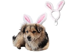 Dog Easter Hat, Adorable Pet Headband with Bunny Ears, Perfect Easter Costume Accessory