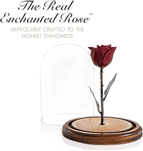 Miniatura 5 de Forever Rose Borgoña encantada en cúpula de cristal inspirada en la flor de la Bella y la Bestia, rosa preservada grabada a mano Rosa sumergida a