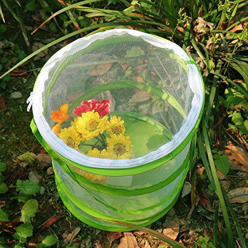 Restcloud Pop-Up Insect And Butterfly Habitat Cage Terrarium Clear Mesh Enclosure, See Through Easier 9" X 11" Tall #TOP4