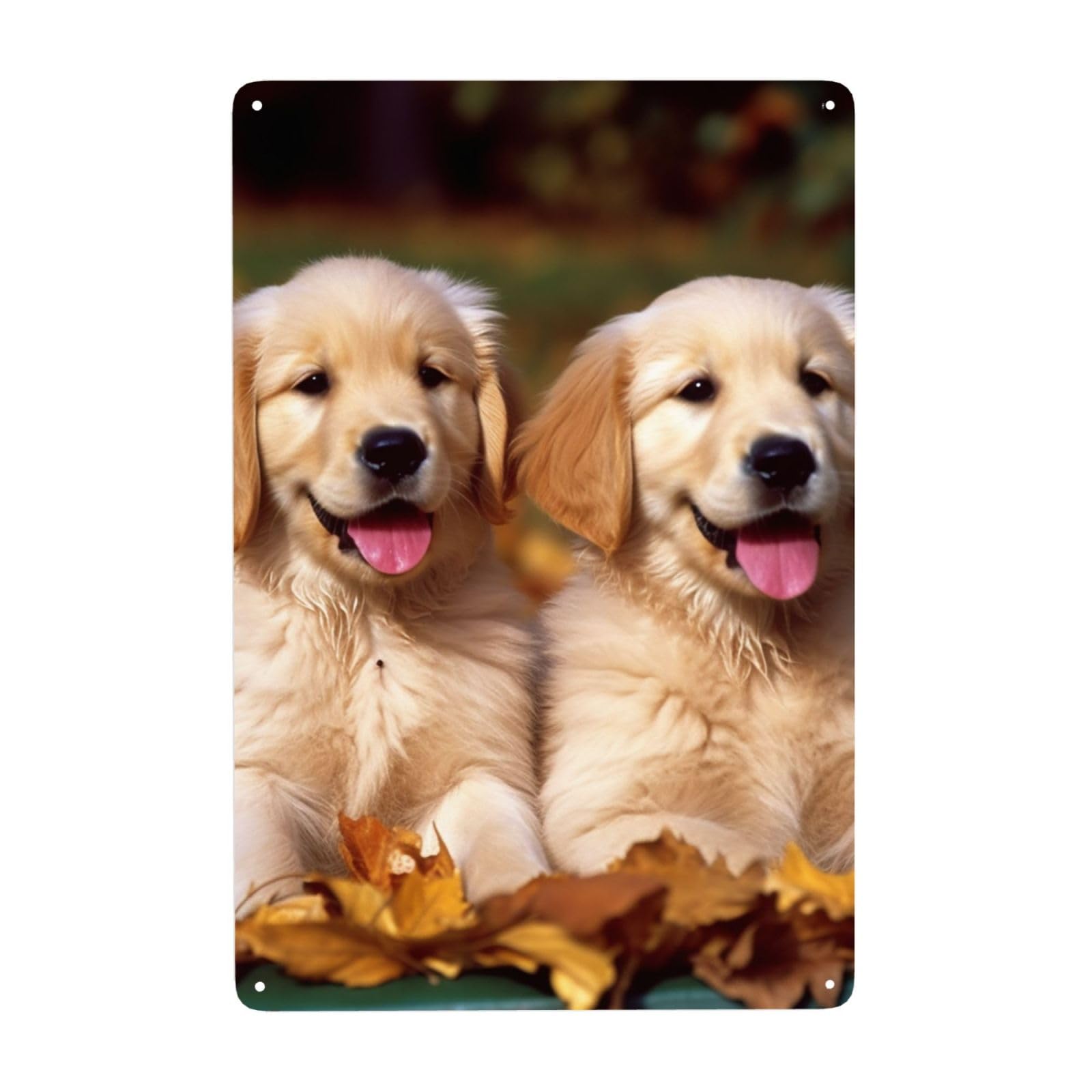 Fodpand White Vintage Tin Signs Metal Retro Wall Art Decor - Wall Hanging Decorative Plaque 8X12 Inch, Golden Retriever Dogs Puppies Pets Metal Signs For Home Yoga Cafes, Funny Metal Poster For Gifts