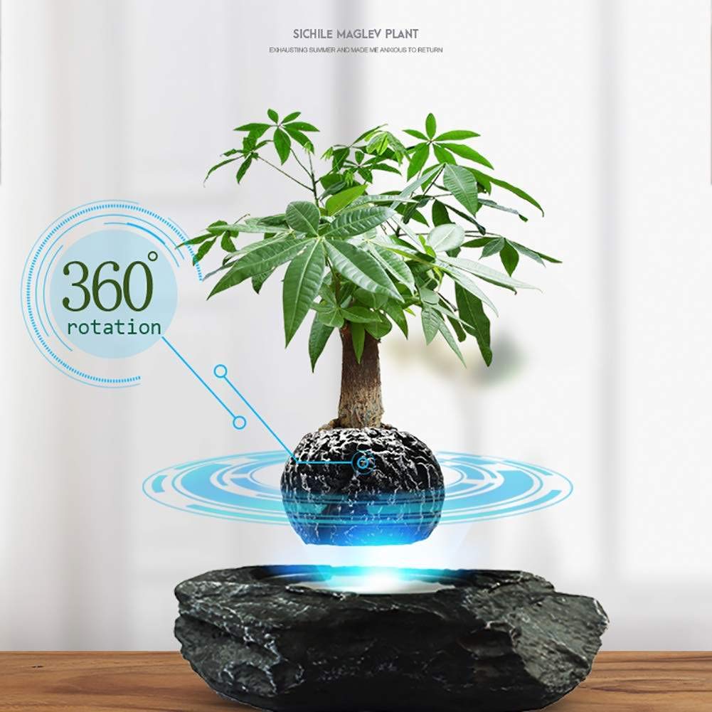 Amazon.co.jp: フローティング盆栽ポット - 浮遊空気フラワーポットを