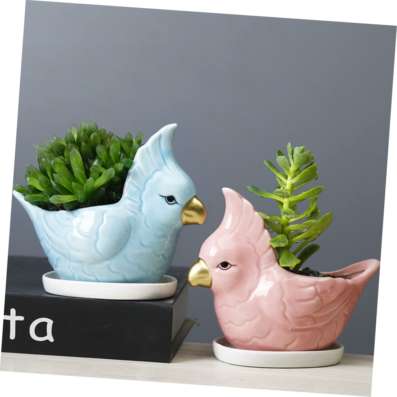 Amazon.co.jp: WEKADRIN かわいい動物型 製花盆 多機能型 底托