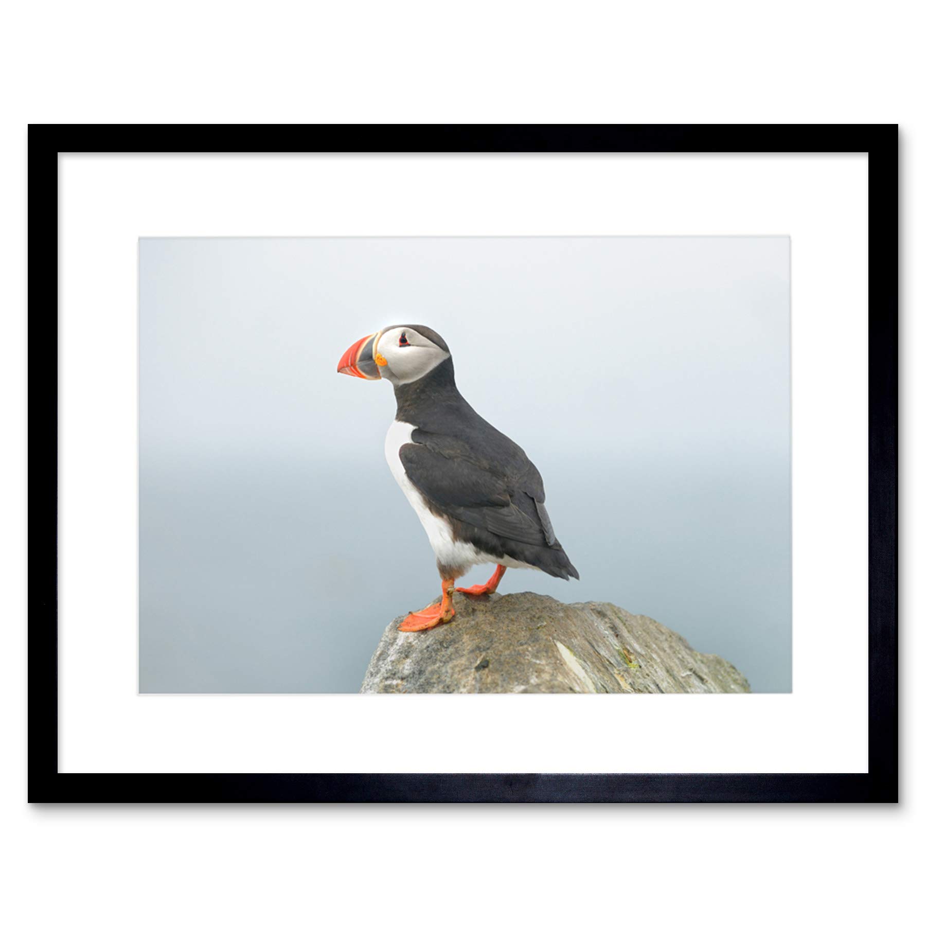 Atlantic Puffin Rock Sea Photo Framed Wall Art Print 30 x 41cm