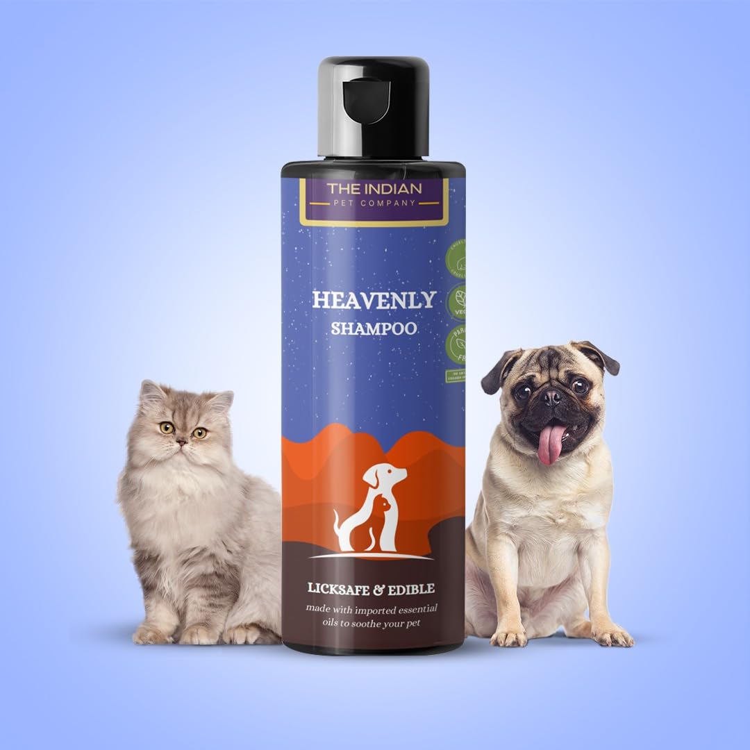The Indian Pet Company Heavenly Pet Shampoo for Dogs & Cats -Extra Shine|Heavy Coat|Suitable for Dogs & Cats|Detangle Hair|Made with Imported Essential Oils|Ph Balanced|Licksafe (100ml) (B0CZF25YDF) Amazon Price History, Amazon Price Tracker