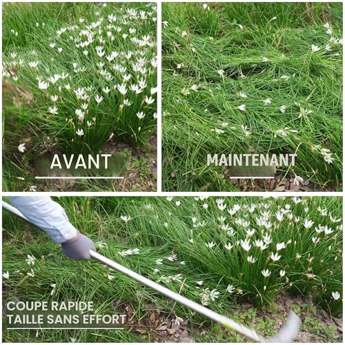 Faucille de désherbage en acier premium et outil de jardin durable - 6