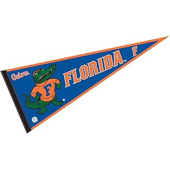 Amazon.com : College Flags & Banners Co. Florida Gators Pennant Full ...