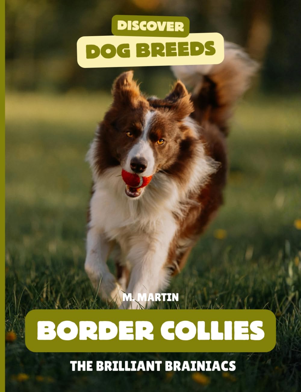 Border Collies: The Brilliant Brainiacs (Discover Dog Breeds)