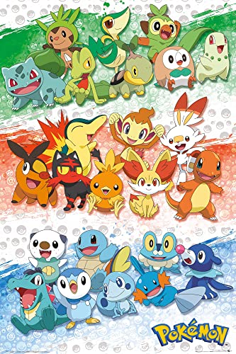 Poster Pokémon First Partners - Série TV - 61 x 91,5 cm + cadre amovible Shinsuke® Maxi aluminium argenté, disque acrylique
